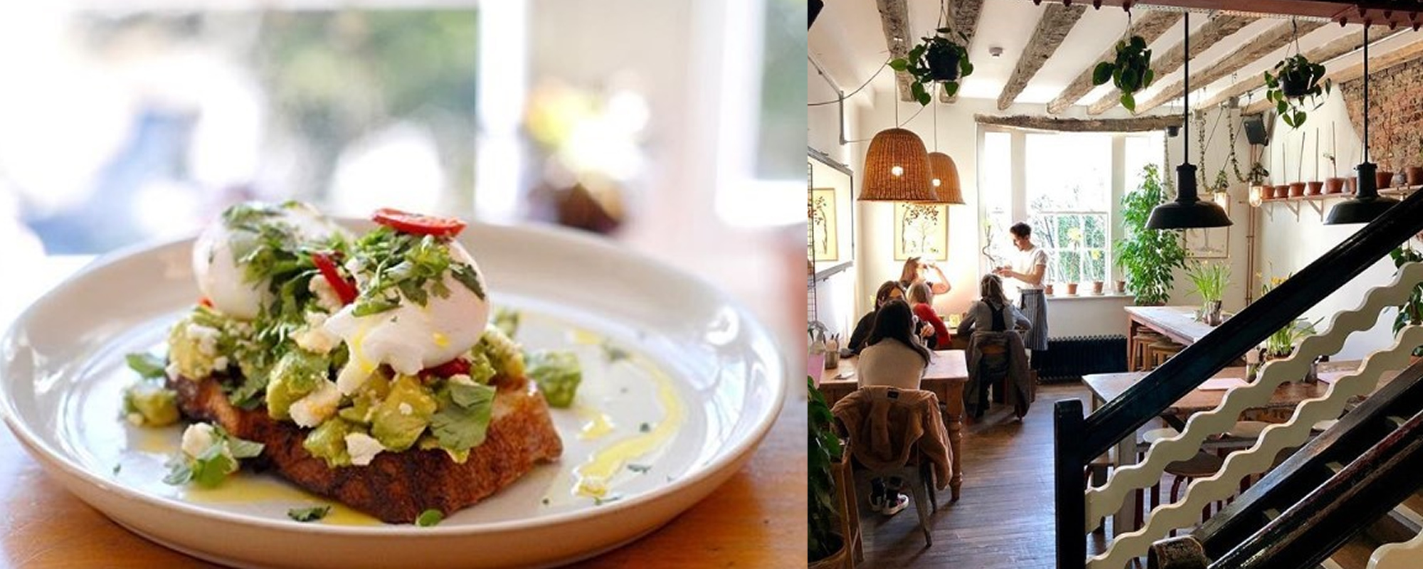 brunch v2 5.jpg