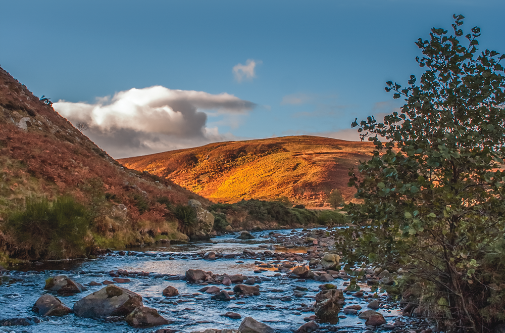 River Breamish.png