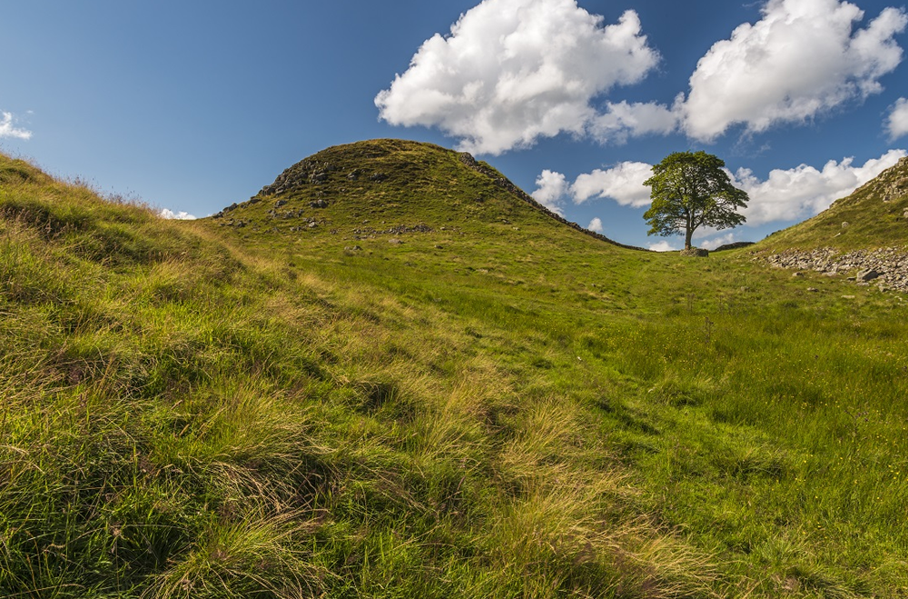 hadrians wall.png