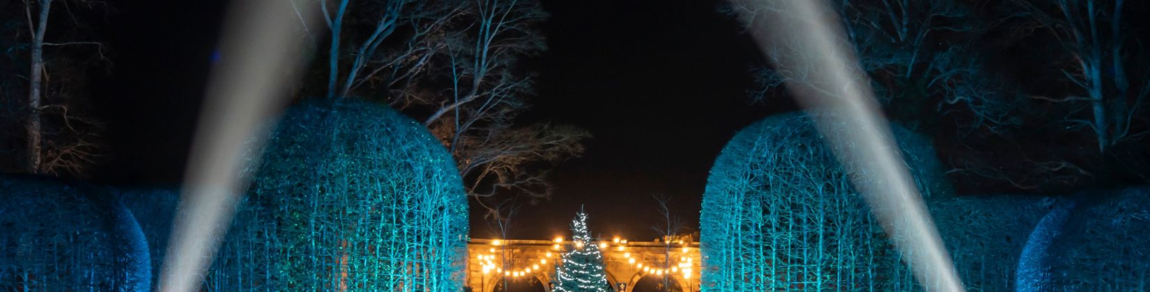 Magical Light Trails in North East England This Season
